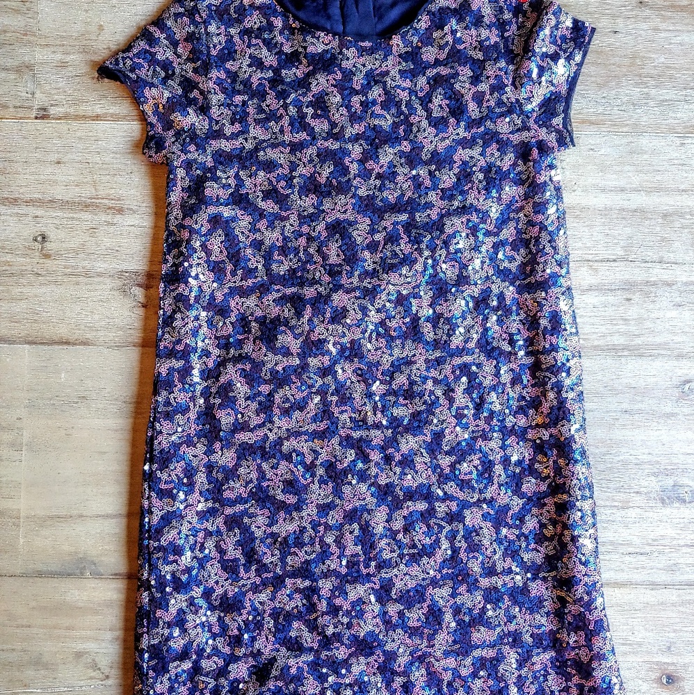 Gap Sequin Dress